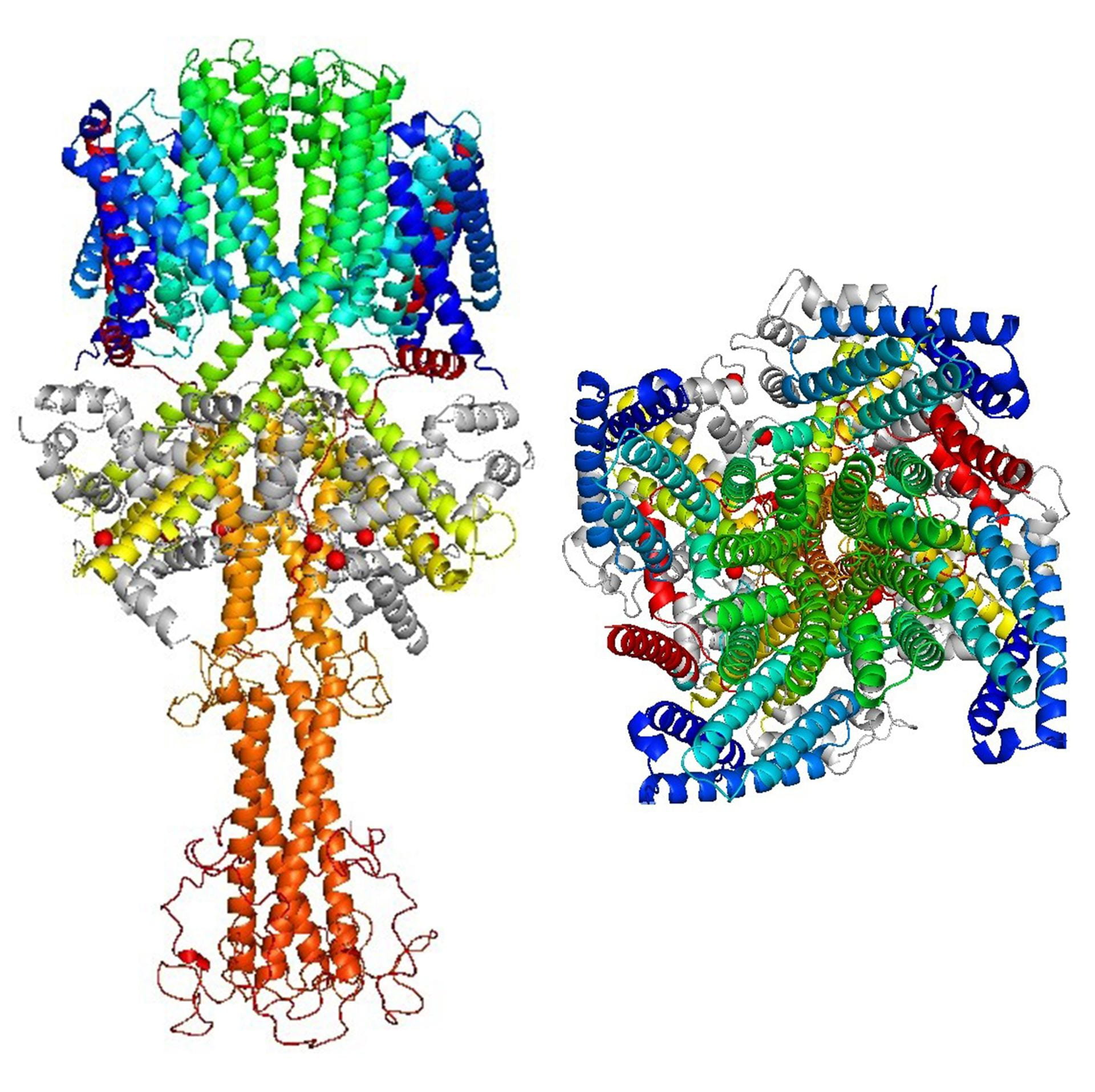 Ion Channel Models
