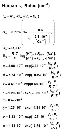 Human IKs Model Equations