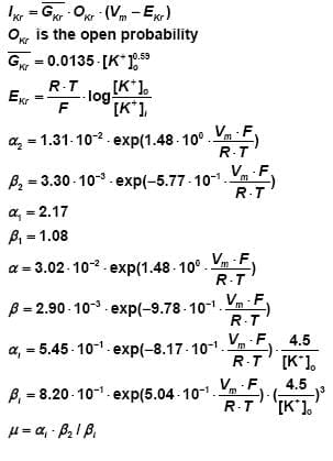 I(Kr) Model Equations 
