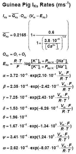 Guinea Pig IKs Model Equations 
