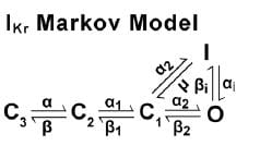 IKr Model Details and Matlab Code
